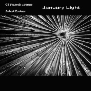 january light cover